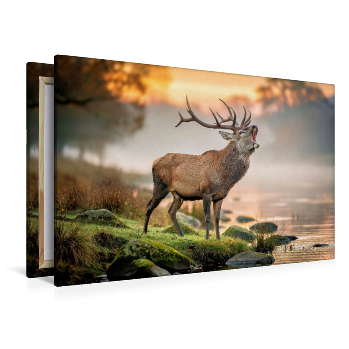 Premium Textil-Leinwand Wildnah, Natur, die berührt.