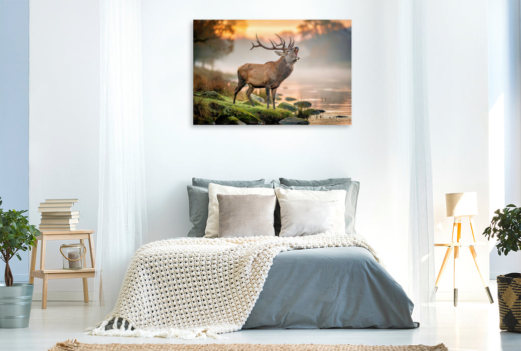 Premium Textil-Leinwand Wildnah, Natur, die berührt.