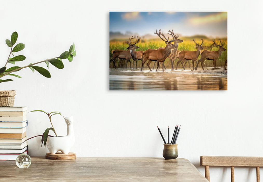 Premium Textil-Leinwand Augenblick der Stille.