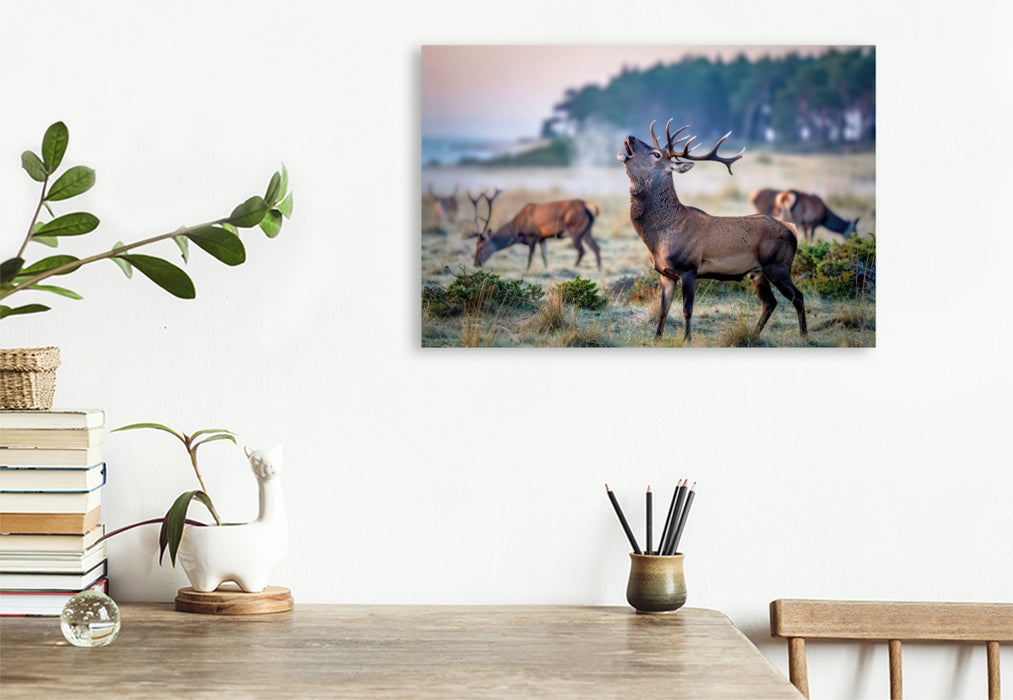 Premium Textil-Leinwand Wenn der Hirsch den Pfad kreuzt, wird der Wald lebendig.
