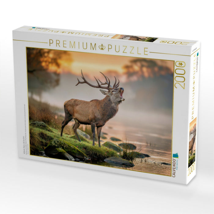 Wildnah, Natur, die berührt. - CALVENDO Foto-Puzzle'
