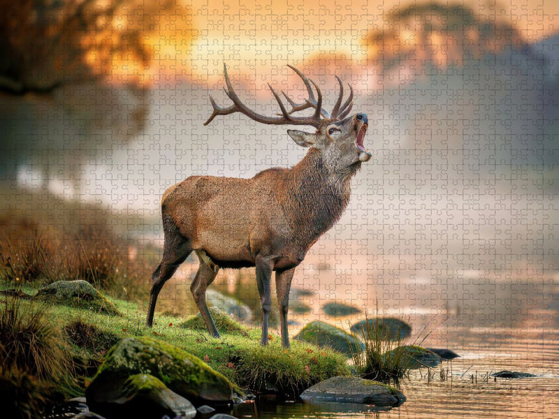 Wildnah, Natur, die berührt. - CALVENDO Foto-Puzzle'