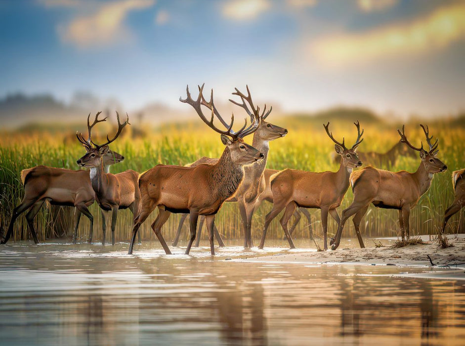 Augenblick der Stille. - CALVENDO Foto-Puzzle'
