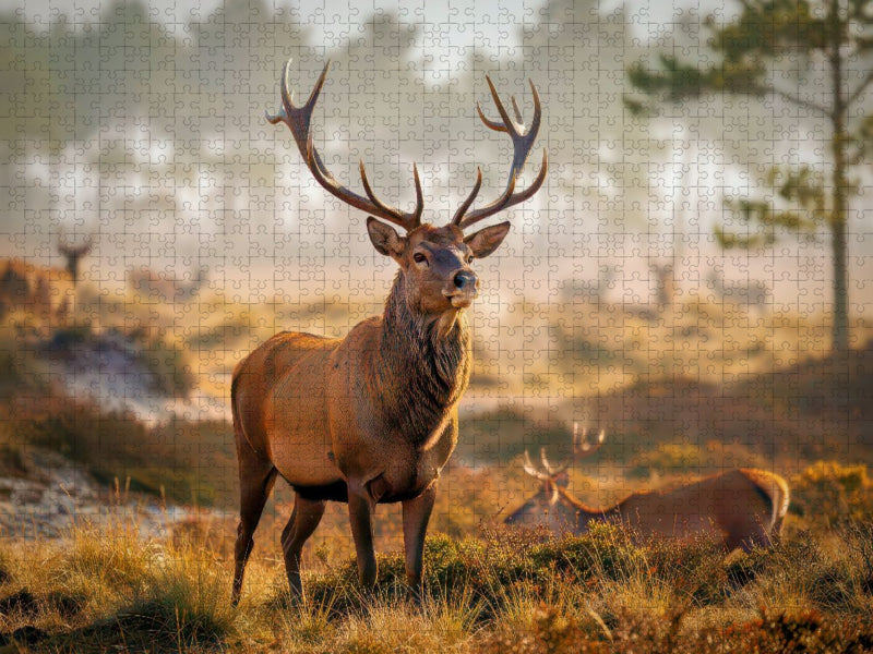 König der Schatten. - CALVENDO Foto-Puzzle'