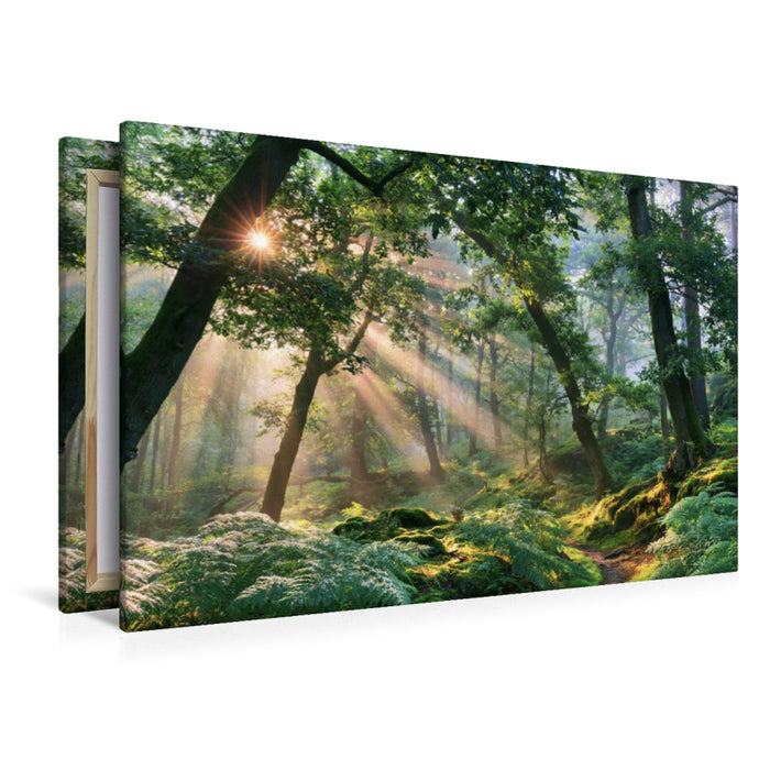 Premium Textil-Leinwand Ein Hauch von Herbst