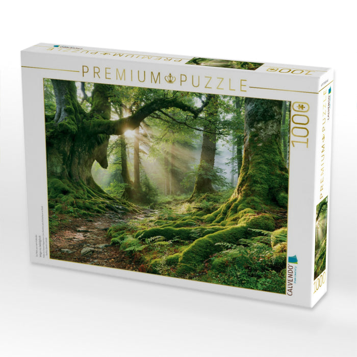 Wege ins Waldglück - CALVENDO Foto-Puzzle'