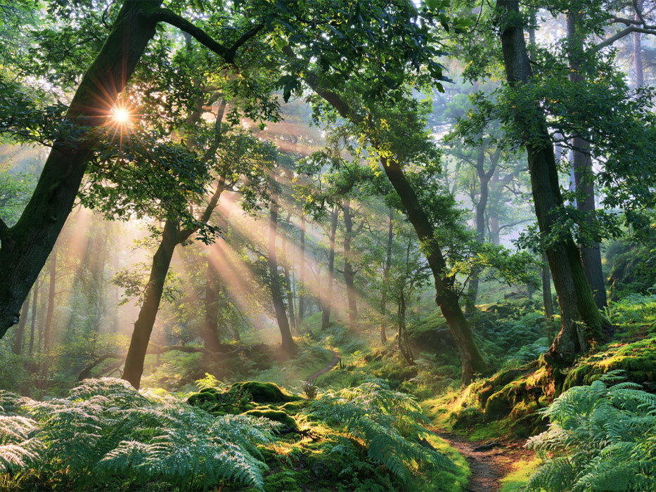 Ein Hauch von Herbst - CALVENDO Foto-Puzzle'
