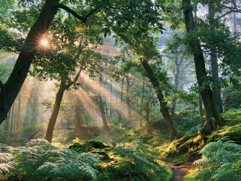 Ein Hauch von Herbst - CALVENDO Foto-Puzzle'