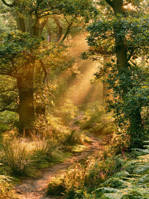 Wenn der Wald leuchtet - CALVENDO Foto-Puzzle'