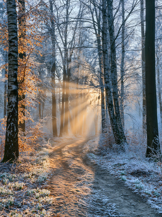 Stille in Weiß - CALVENDO Foto-Puzzle'