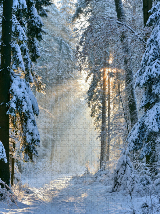 Frost trifft Morgenlicht - CALVENDO Foto-Puzzle'