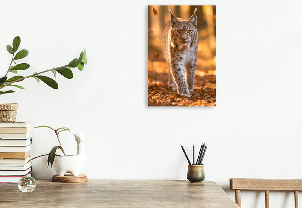 Premium Textil-Leinwand Augen wie goldener Herbst
