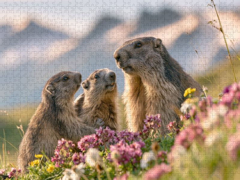 Gipfelglück mit Aussicht - CALVENDO Foto-Puzzle'