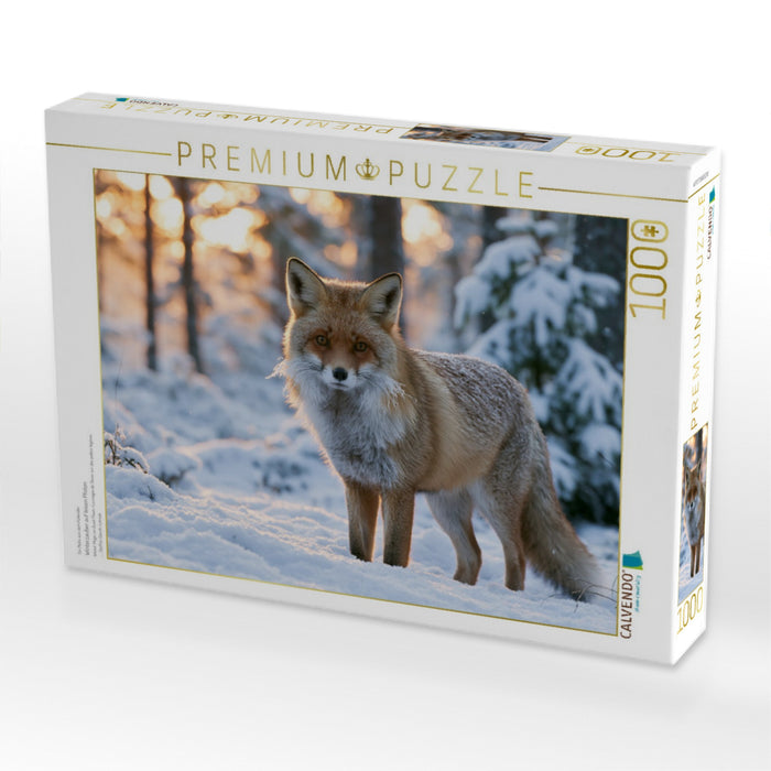 Winterzauber auf leisen Pfoten - CALVENDO Foto-Puzzle'