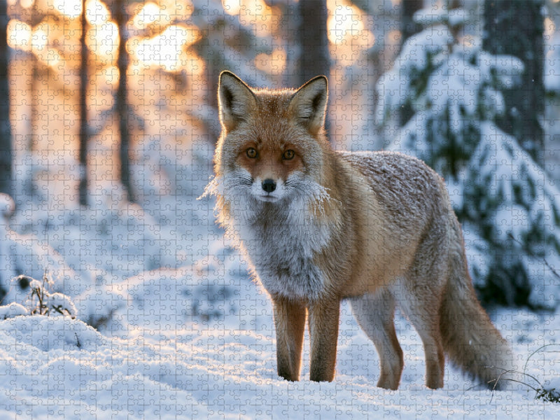 Winterzauber auf leisen Pfoten - CALVENDO Foto-Puzzle'