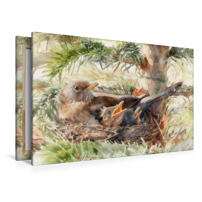 Premium Textil-Leinwand Amsel mit Nachwuchs