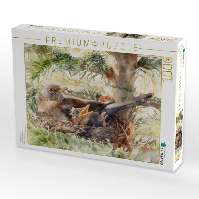 Amsel mit Nachwuchs - CALVENDO Foto-Puzzle'