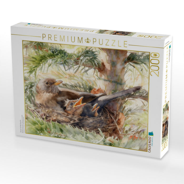 Amsel mit Nachwuchs - CALVENDO Foto-Puzzle'