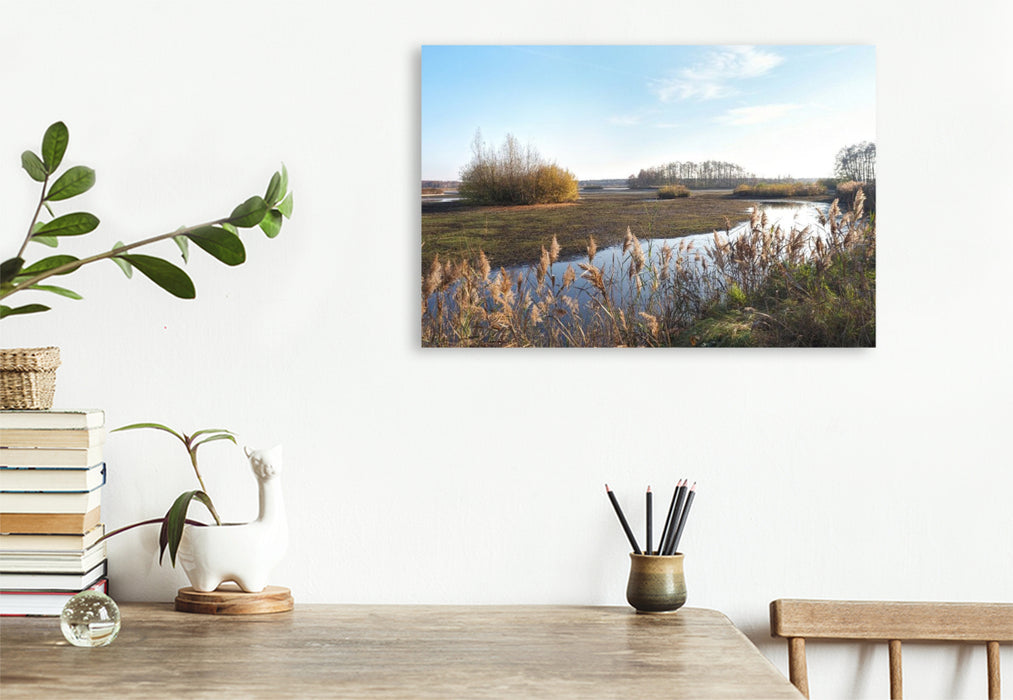 Premium Textil-Leinwand Uferlandschaft im Licht