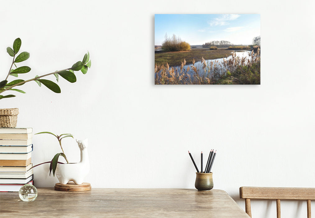 Premium Textil-Leinwand Uferlandschaft im Licht