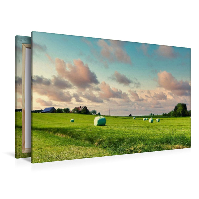 Premium Textil-Leinwand Wiese bei Willmatshofen