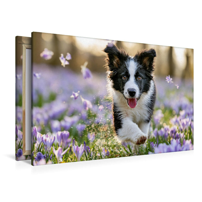 Premium Textil-Leinwand Kleiner Sprung ins Glück