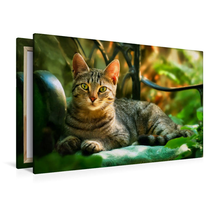 Premium Textil-Leinwand Der Blick sagt alles