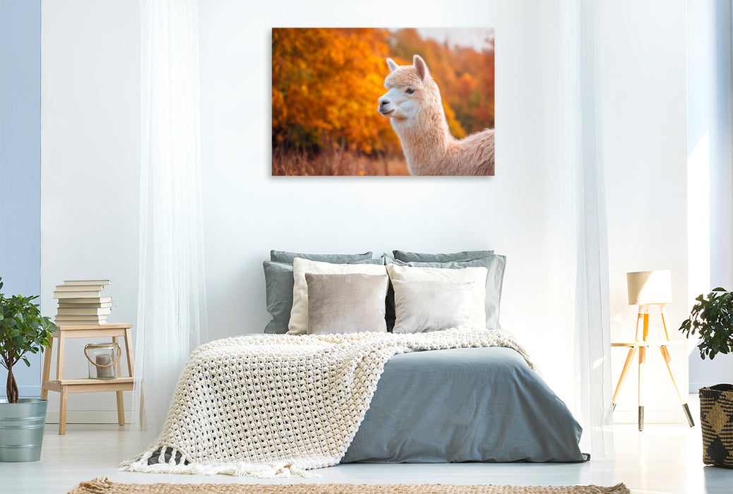 Premium Textil-Leinwand Alpaka - Goldener Herbst