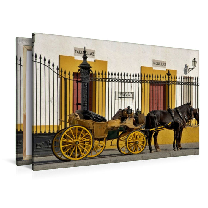 Premium Textil-Leinwand Traditionelle Kutsche