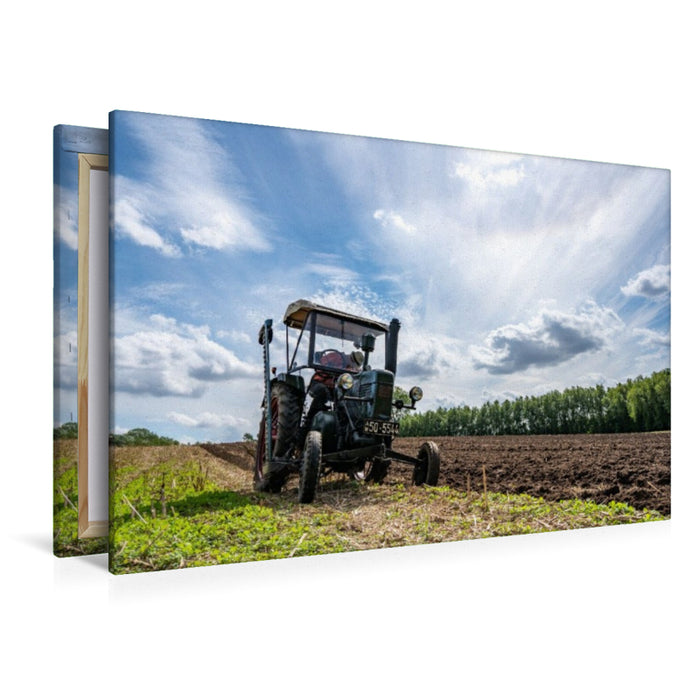 Premium Textil-Leinwand Kleiner Bulldog bei der Arbeit