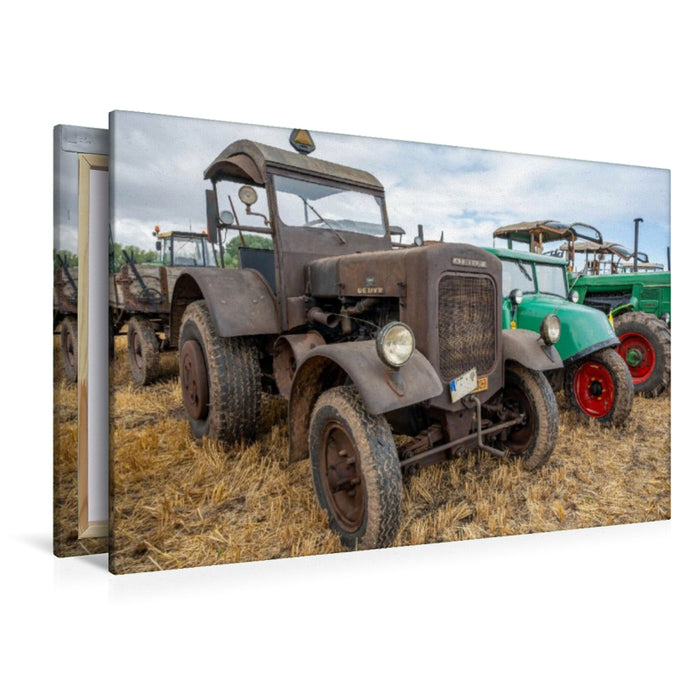 Premium Textil-Leinwand Robuste Schönheit