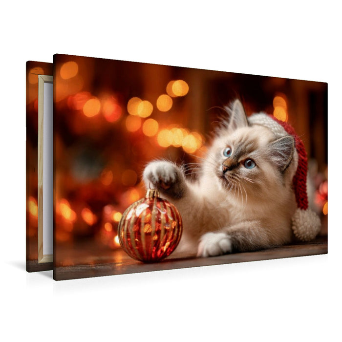 Premium Textil-Leinwand Heilige Birma - Weihnachtsmagie