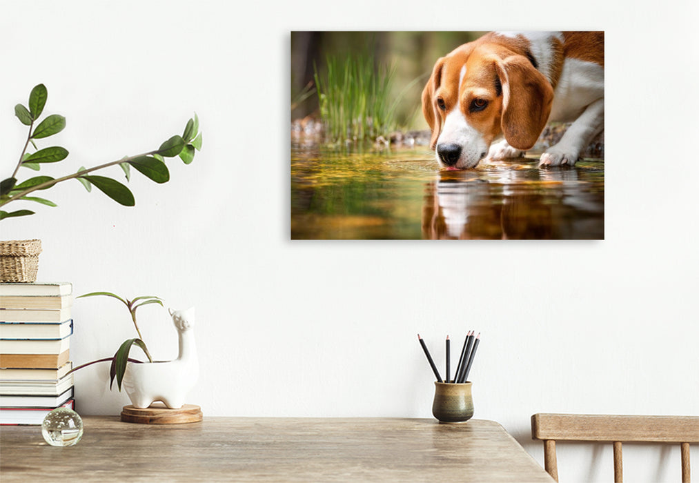 Premium Textil-Leinwand Beagle - Durstige Spürnase