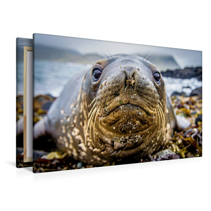 Premium Textil-Leinwand Mehr Charme pro Tonne.
