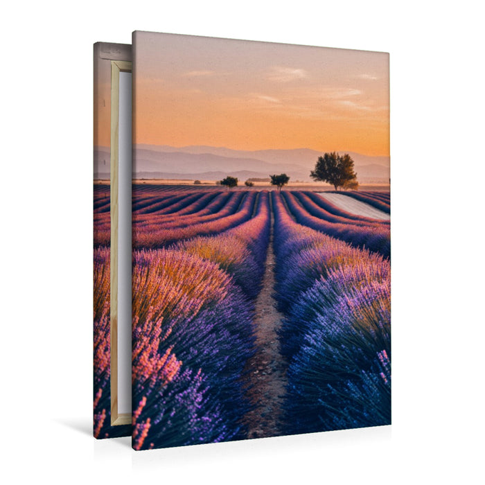 Premium Textil-Leinwand Lavendelfelder im Morgenrot