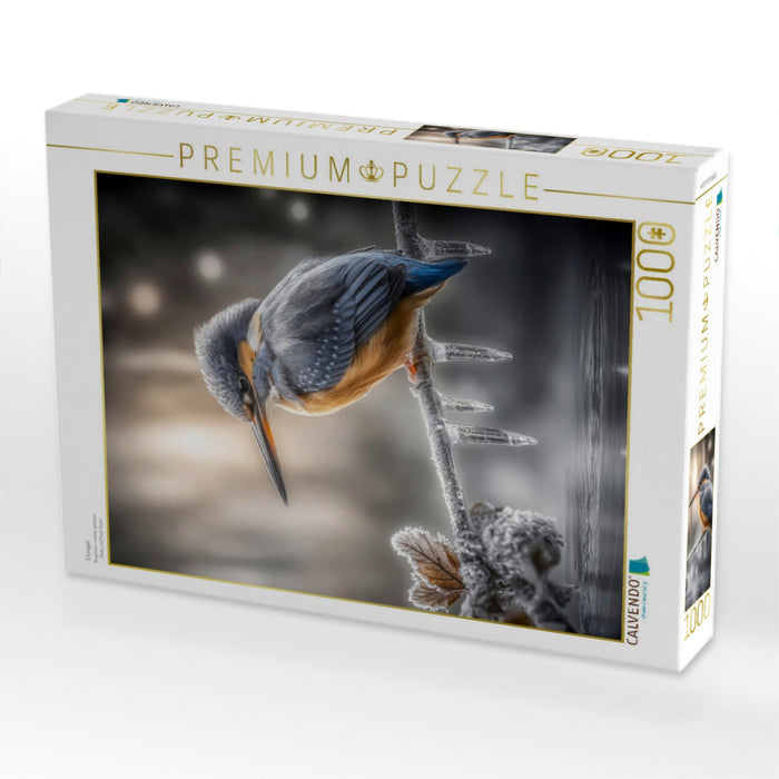 Eisvogel - CALVENDO Foto-Puzzle'