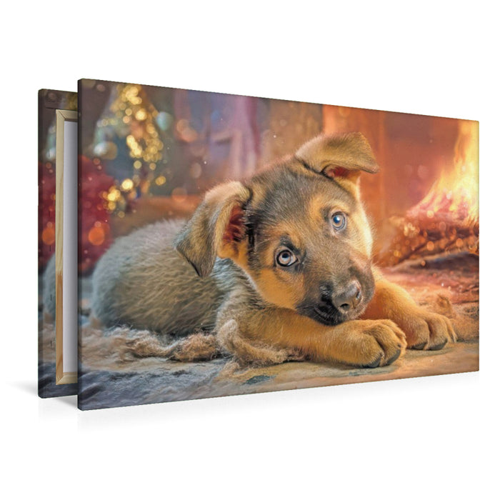 Premium Textil-Leinwand Hunde mit Charme - Illustrationen