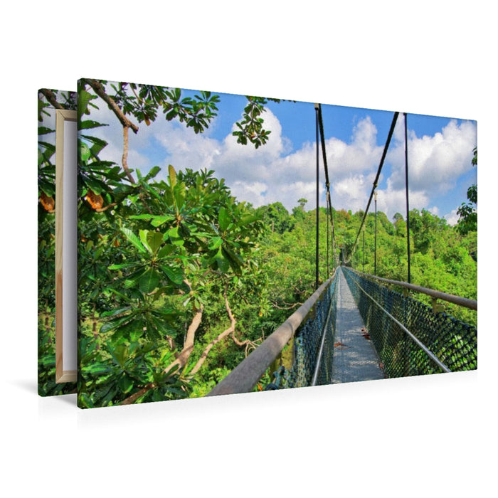 Premium Textil-Leinwand Macritchie Treetop Walk, Singapur
