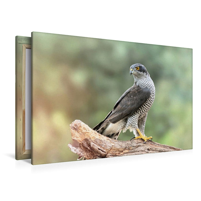 Premium Textil-Leinwand Der Wächter des Waldes