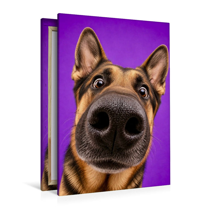 Premium Textil-Leinwand Deutscher Schäferhund