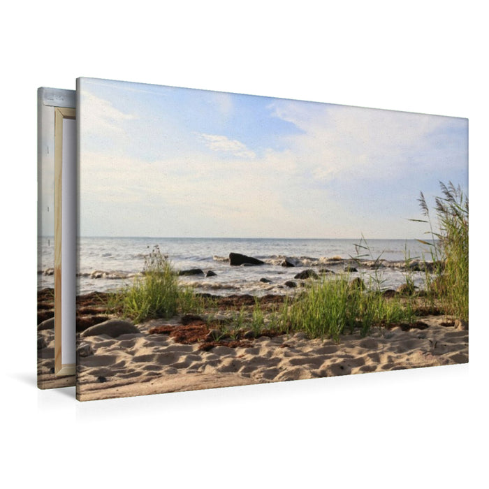 Premium Textil-Leinwand Idyllischer Strand Steinbeck