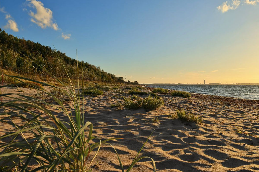 Premium Textil-Leinwand Strand bei Barendorf mit Dünengras