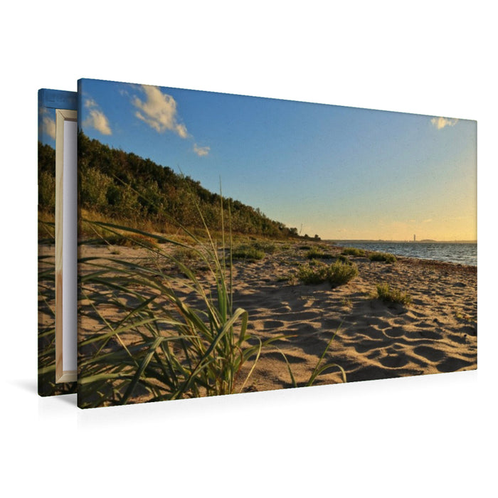 Premium Textil-Leinwand Strand bei Barendorf mit Dünengras