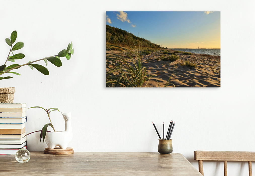 Premium Textil-Leinwand Strand bei Barendorf mit Dünengras