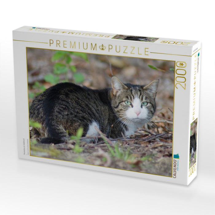 Hauskatze am Waldrand - CALVENDO Foto-Puzzle'