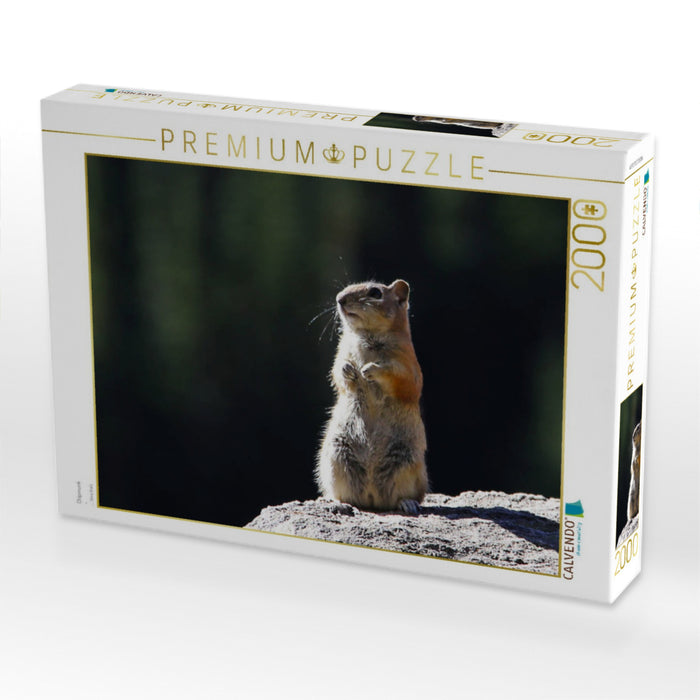 Chipmunk - CALVENDO Foto-Puzzle'