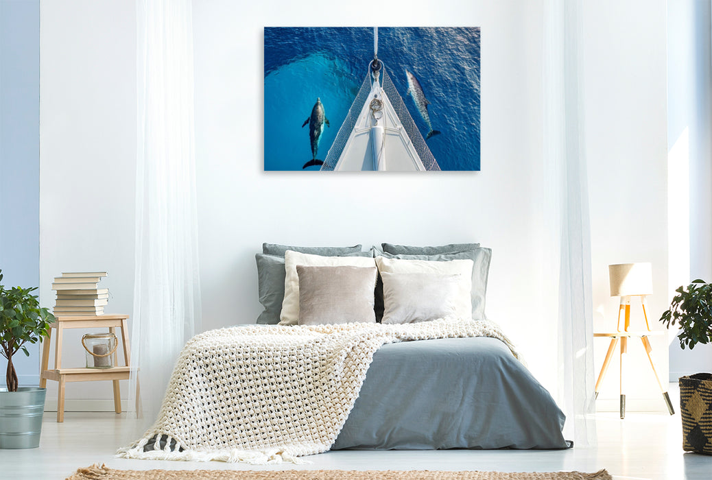 Premium Textil-Leinwand Delfine am Bug eines Schiffes