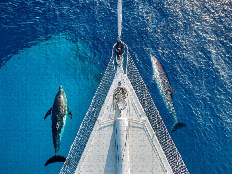 Delfine am Bug eines Schiffes - CALVENDO Foto-Puzzle'