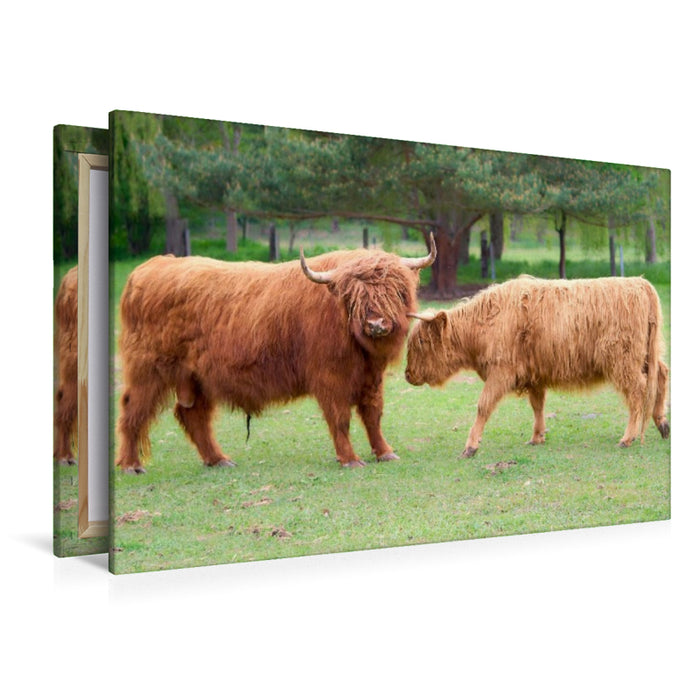 Premium Textil-Leinwand Wilde Begegnung