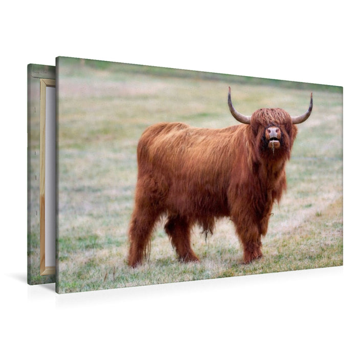 Premium Textil-Leinwand Der Ruf der Weide